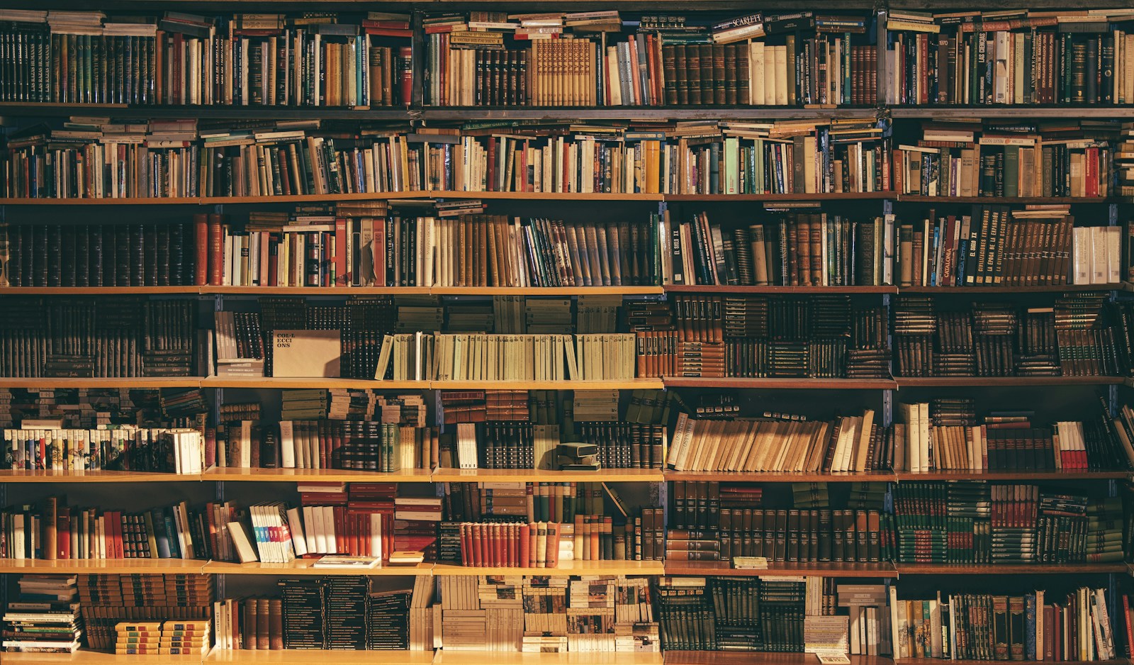 Warmly lit shelves of well-read books